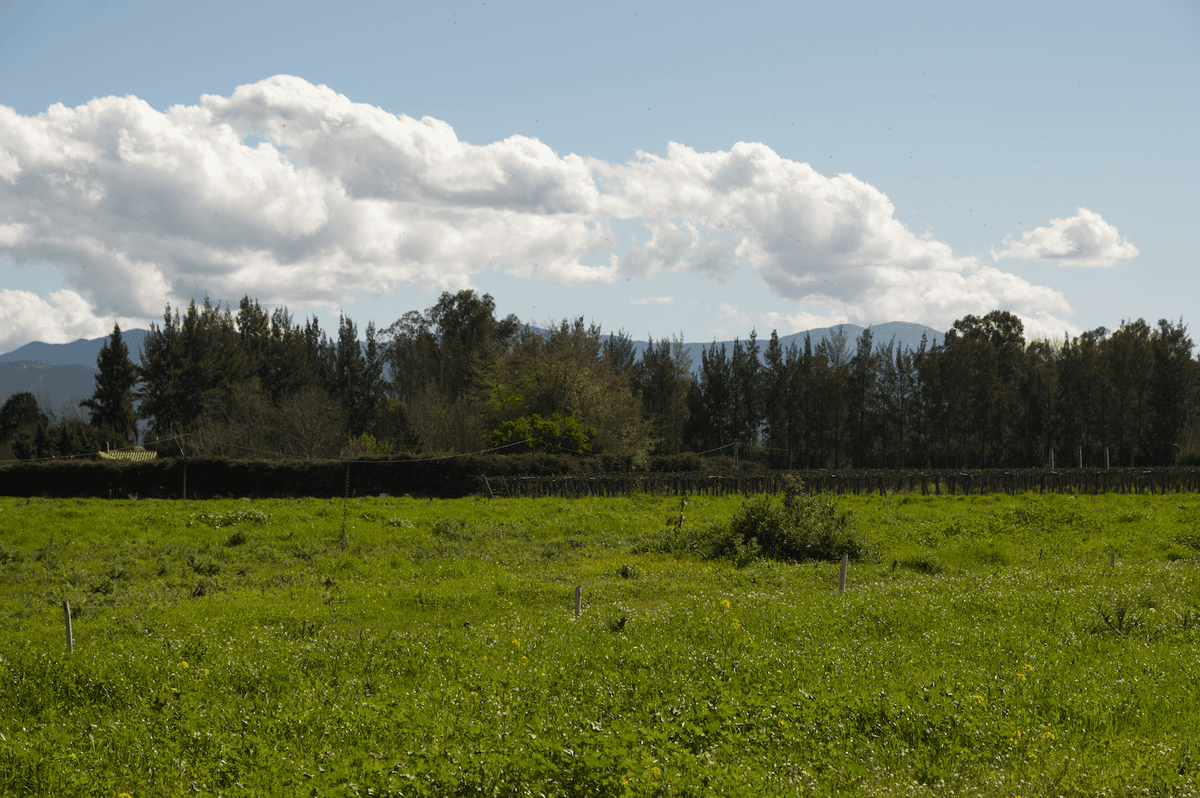 Entorno y ubicación